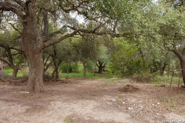 3008 Rolling Hills Rd Rd, Blanco, TX 78606 - #3
