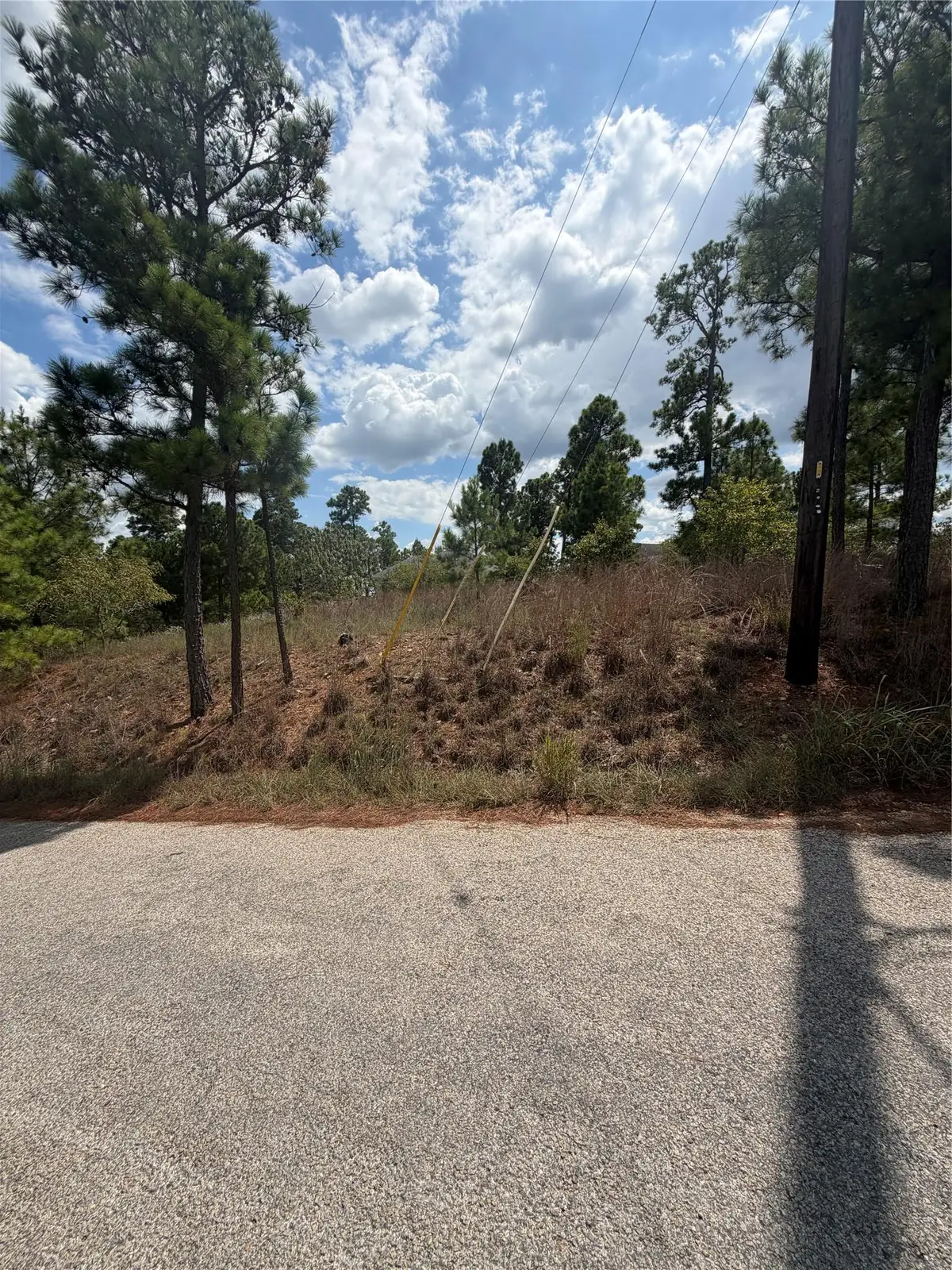 Lot 1189 Awehi Ln, Bastrop, TX 78602 - #1