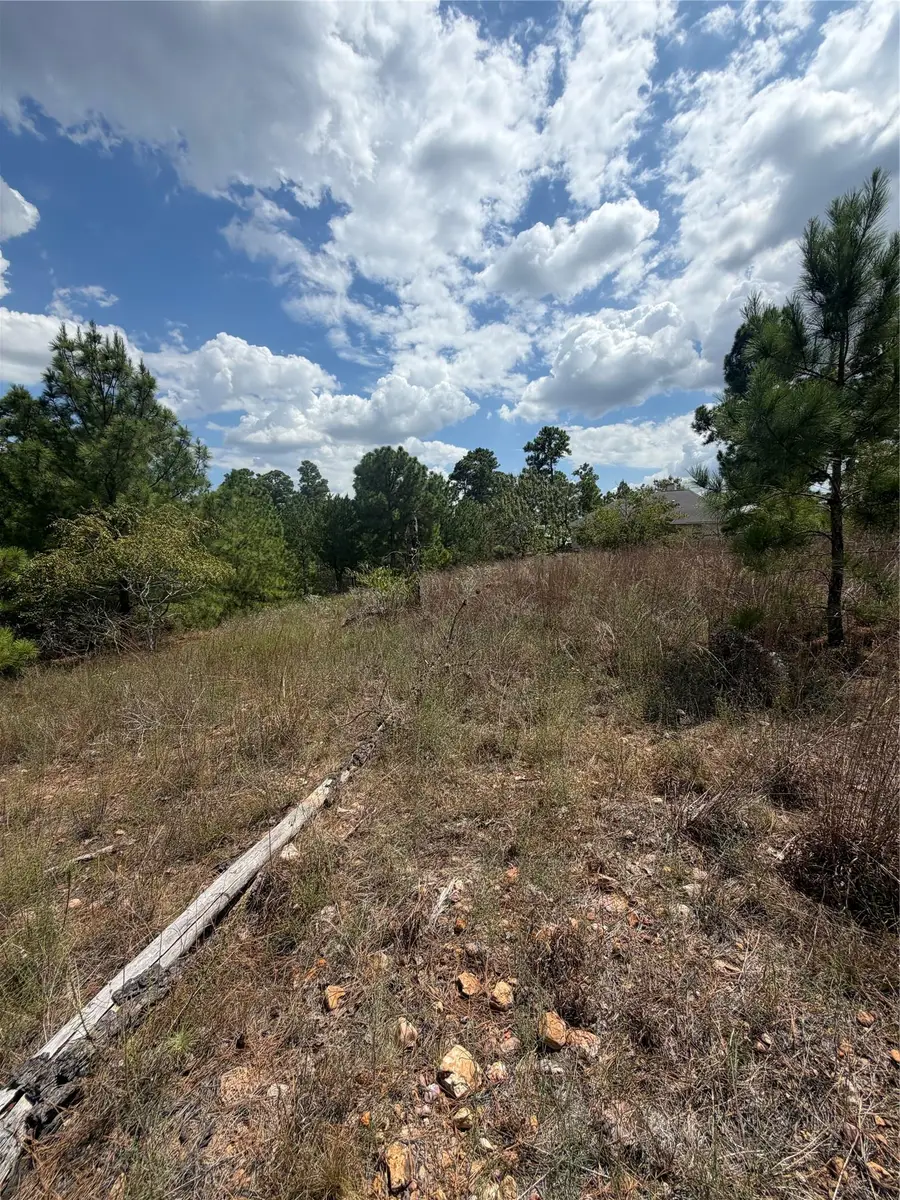 Lot 1189 Awehi Ln, Bastrop, TX 78602 - #2