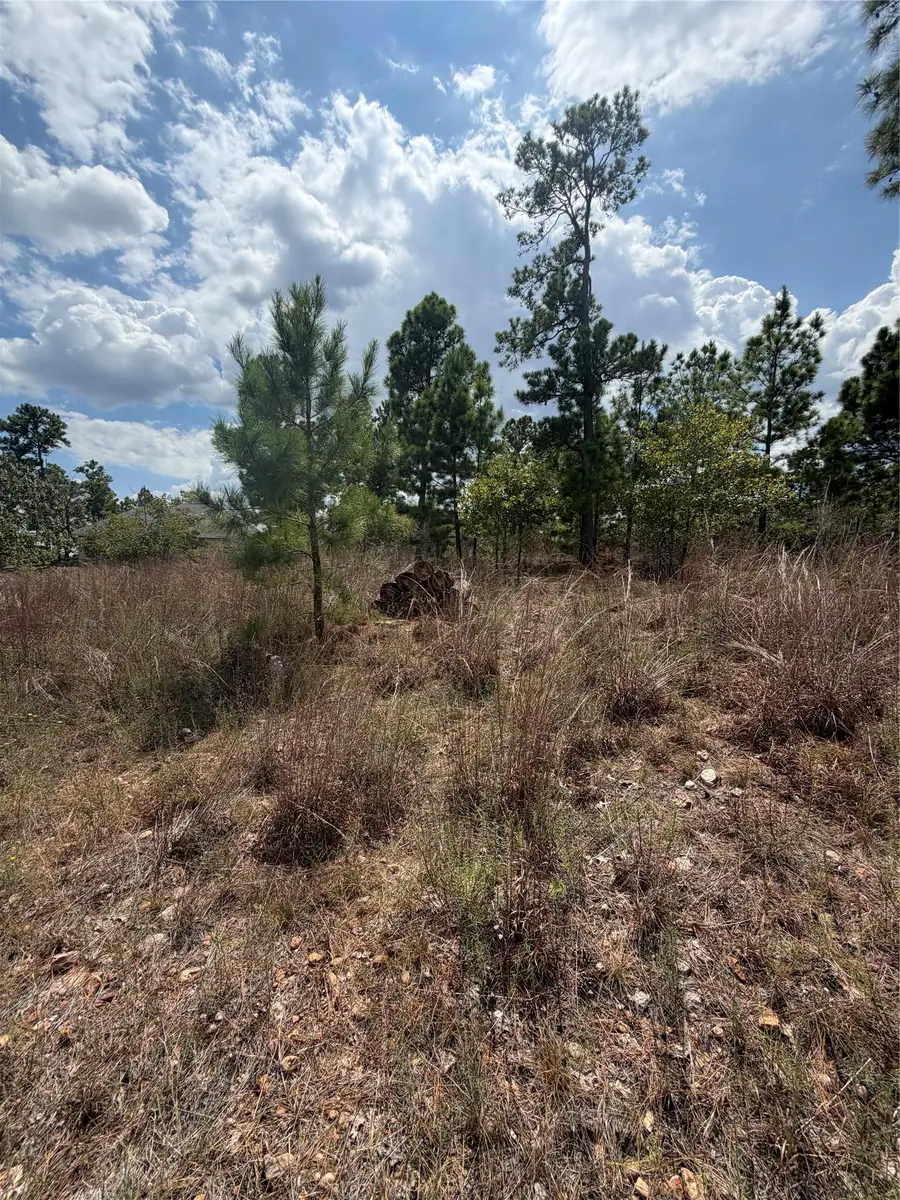 Lot 1189 Awehi Ln, Bastrop, TX 78602 - #3