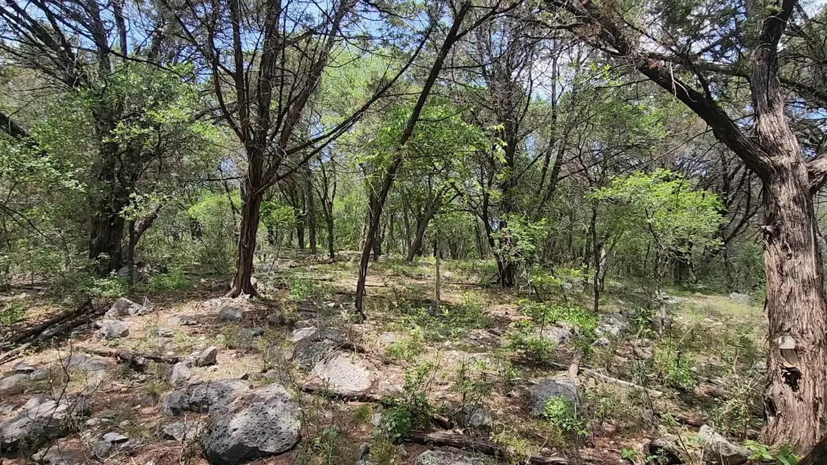 410 Owl Hollow Rd, San Marcos, TX 78666 - #1