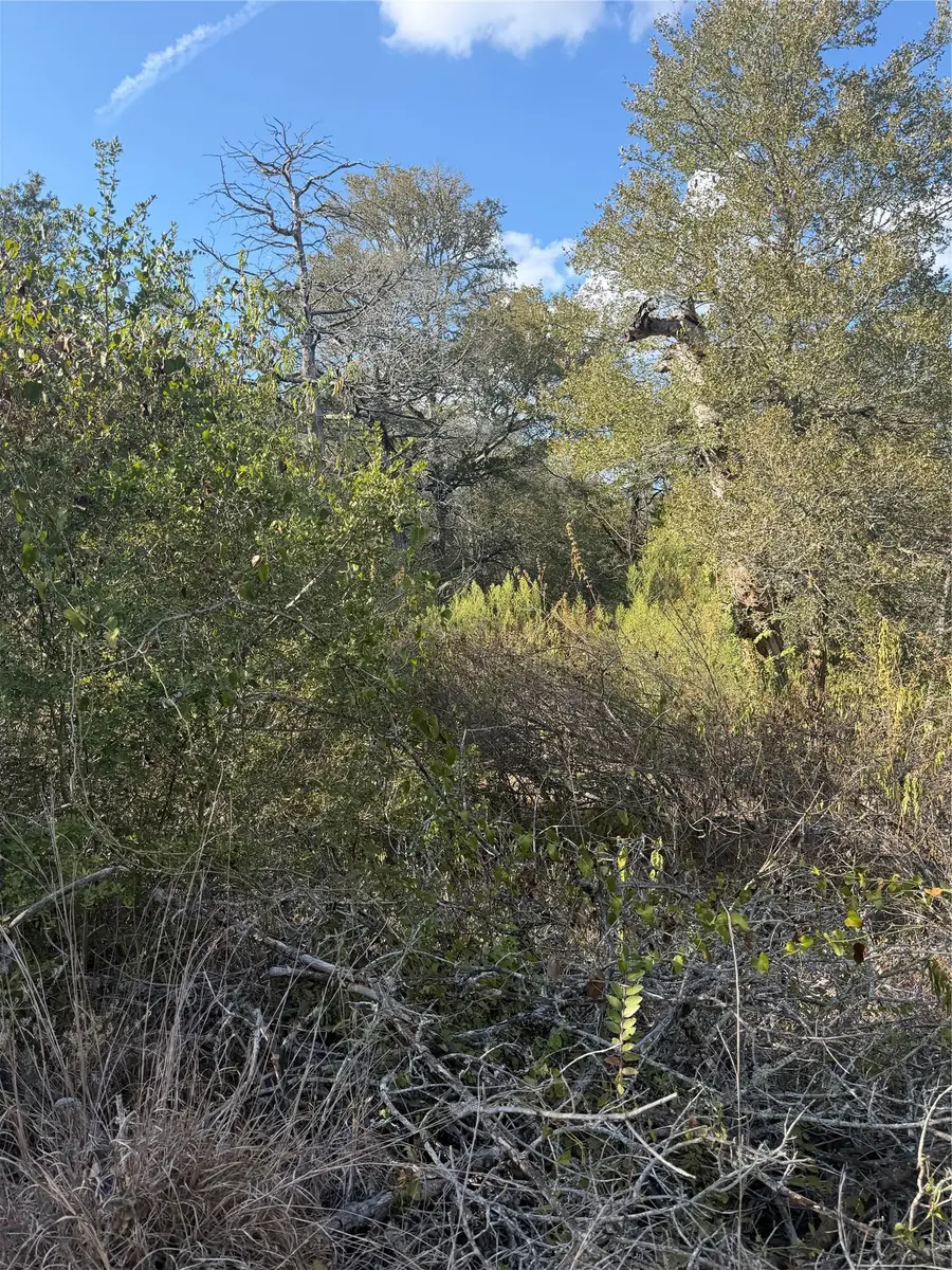 Lot 539 Palikea Cir, Bastrop, TX 78602 - #3