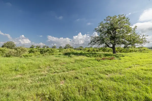 Lot 1-B County Road 491, Gonzales, TX 78629
