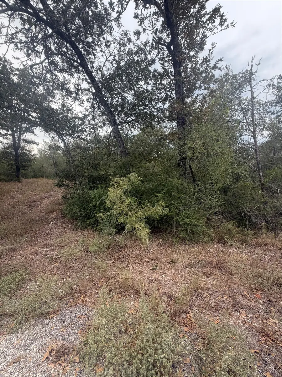 4 Lots Mokulua Mokuleia Cir, Bastrop, TX 78602 - #3