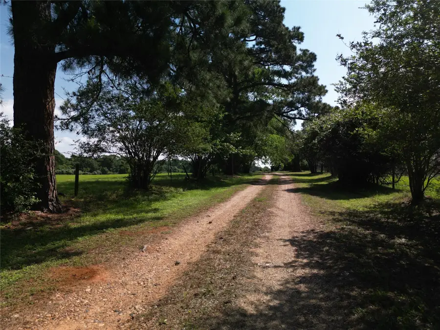 17137 County Road 319, Navasota, TX 77868 - Image #2