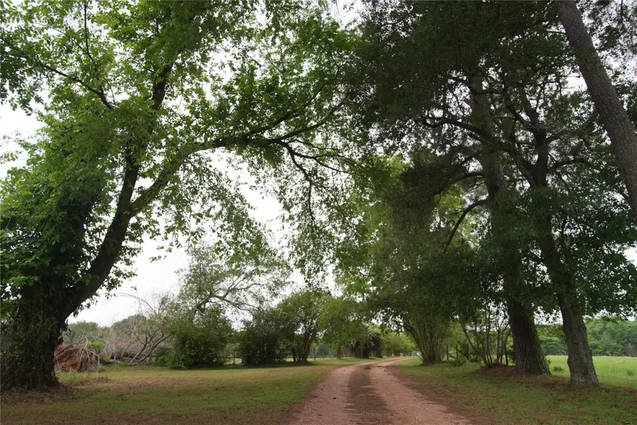 17137 County Road 319, Navasota, TX 77868 - Image #3