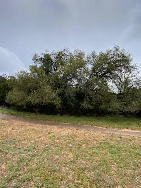 3101 Earhart Cv, Lago Vista, TX 78645 - Image #3