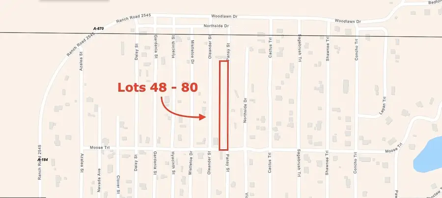 Lots 48-80 Pansy Rd, Kingsland, TX 78639 - #3