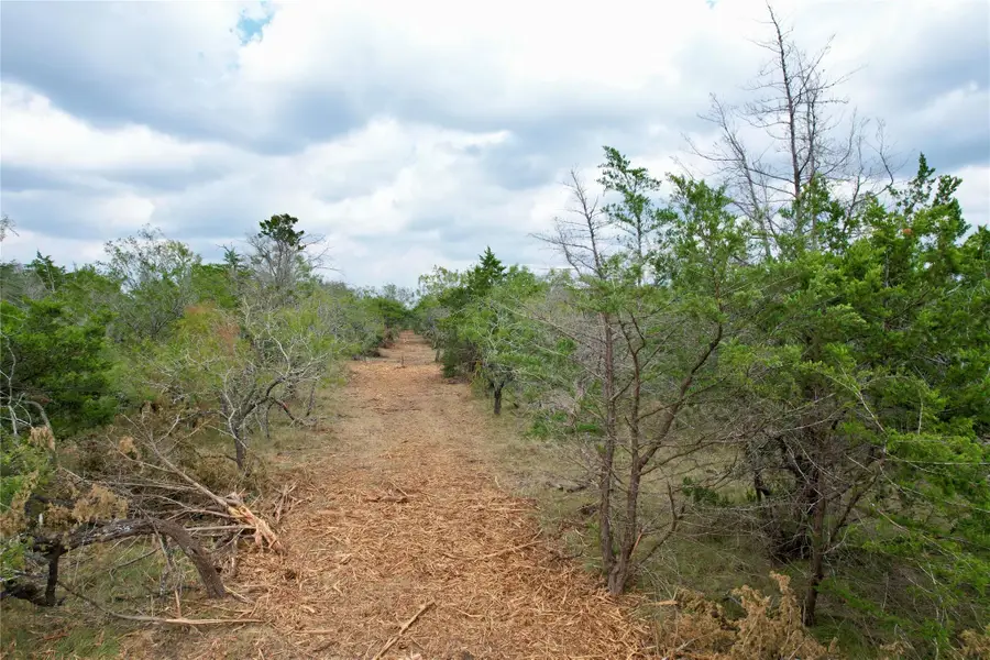TBD Lot 11 Kovar Rd, Smithville, TX 78957 - Image #3