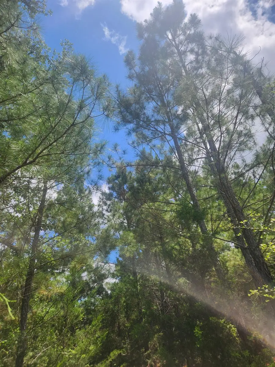 124 Paintbrush Ln, Bastrop, TX 78602 - Image #2