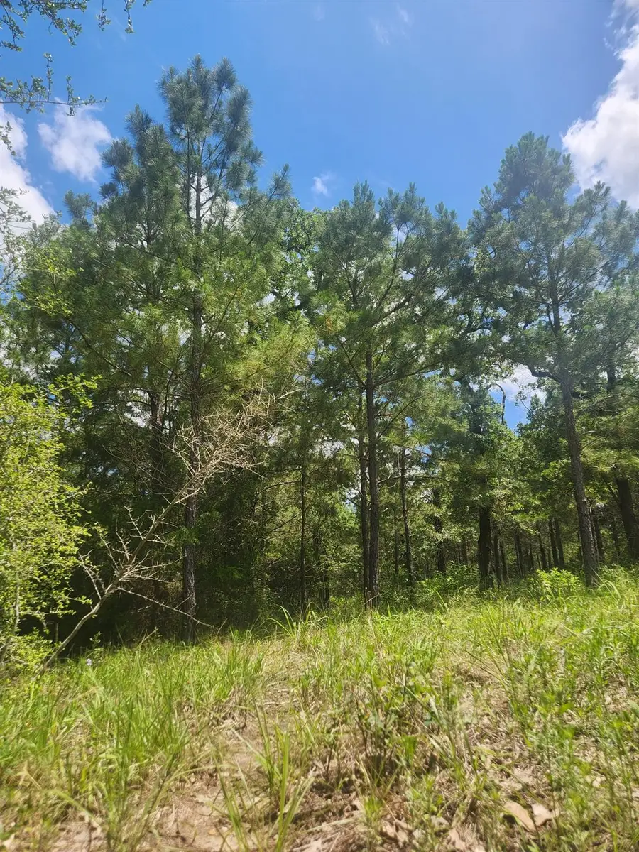 124 Paintbrush Ln, Bastrop, TX 78602 - Image #3