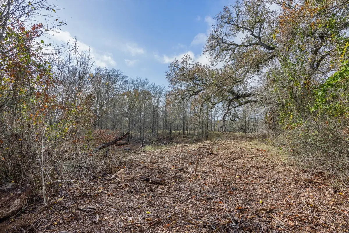 1050 Bugtussle Ln, Luling, TX 78648 - Image #1