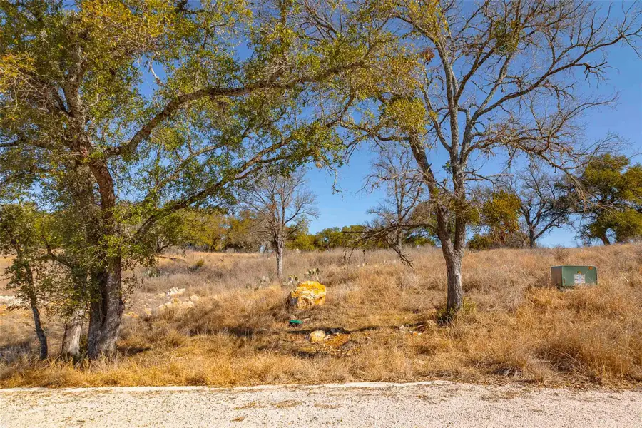 000 River Pl, Johnson City, TX 78636 - #3