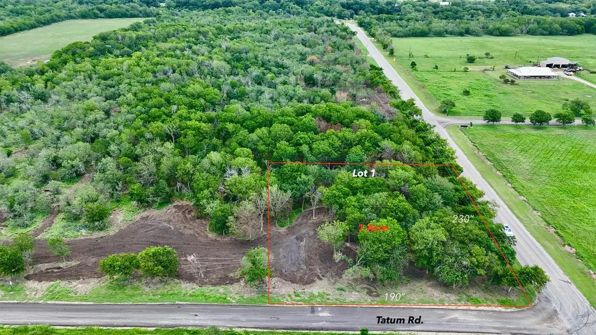 Lot 1 - TBD Tatum Rd, Martindale, TX 78655 - Image #1