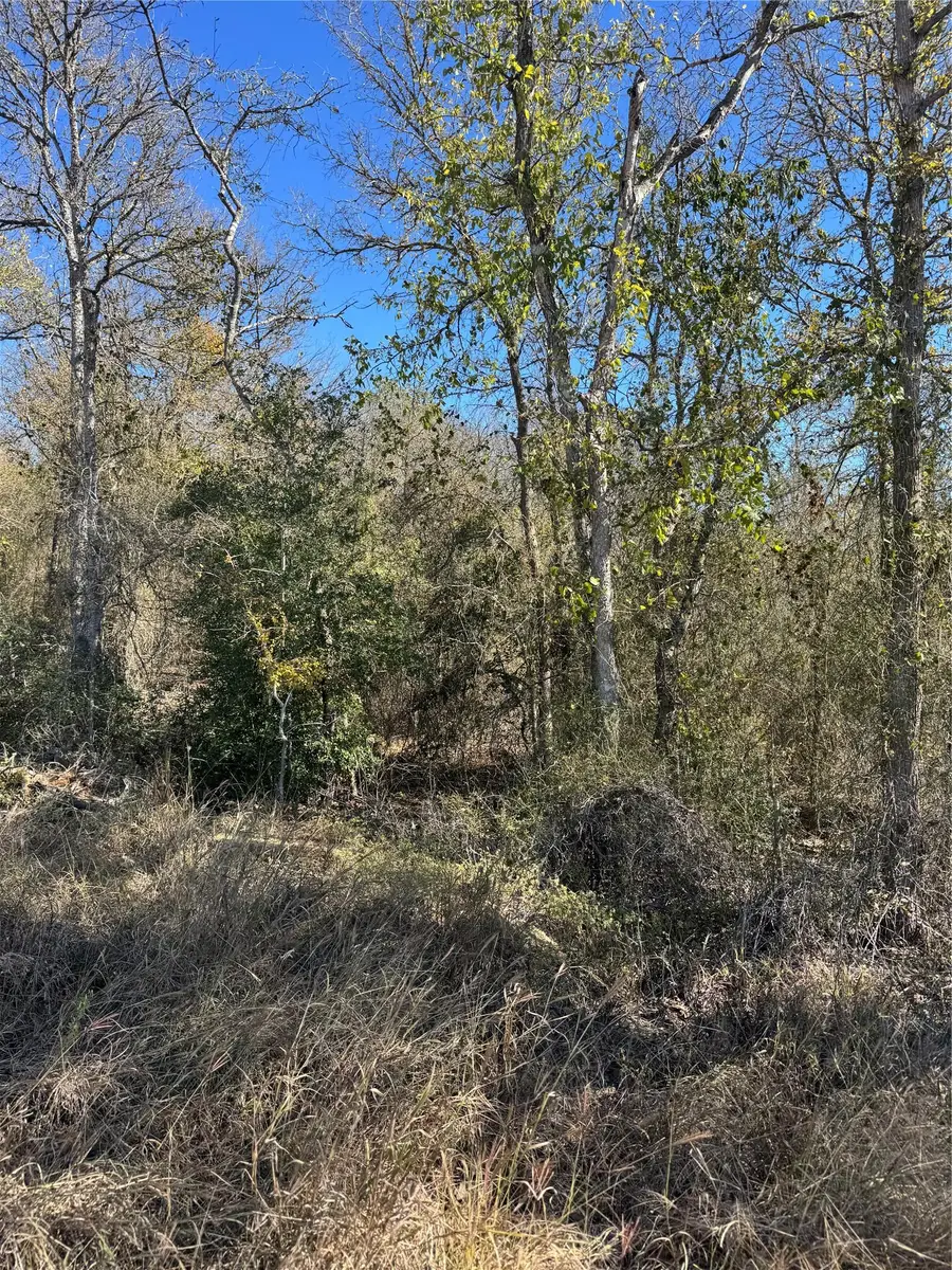 Lot 1013 Diamond Head Dr, Bastrop, TX 78602 - Image #3