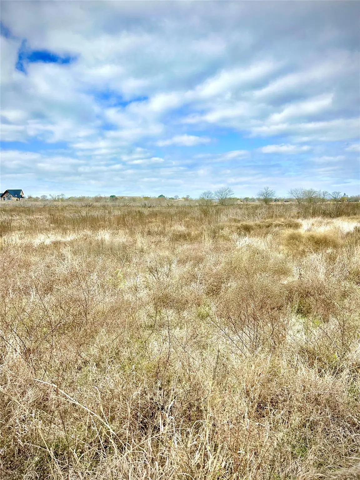 TBD Tx 36, Rogers, TX 76569 - #1