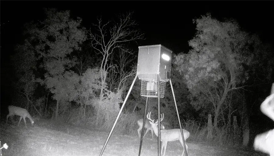 21255 Fm 580 W, Bend, TX 76824 - #3