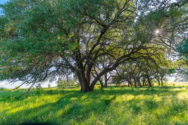 28 Feild Ranch Rd, Burnet, TX 78611