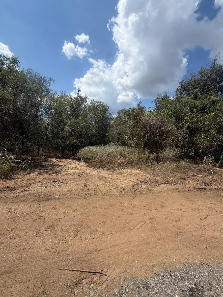 155 Waimanalo Ln, Bastrop, TX 78602 - #3