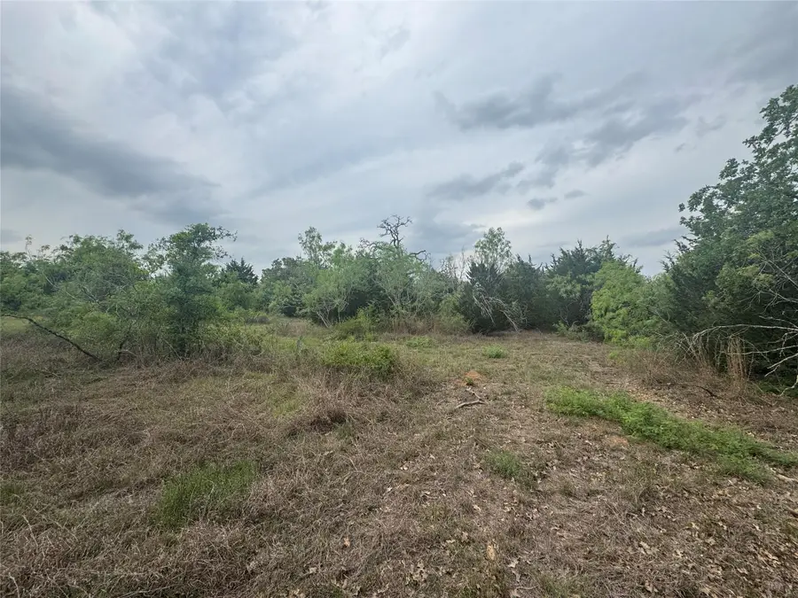 TBD Della Ln, Cedar Creek, TX 78612 - Image #2