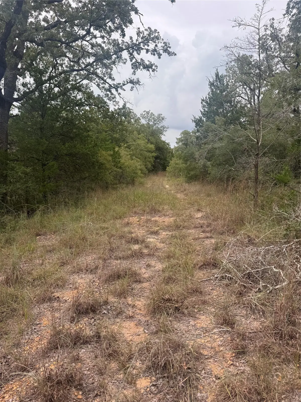 Lot 6 Spruce St, Paige, TX 78659 - Image #1