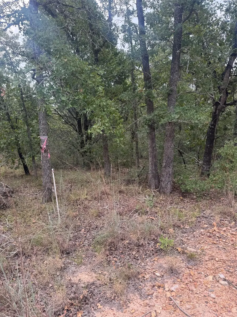 Lot 6 Spruce St, Paige, TX 78659 - Image #2