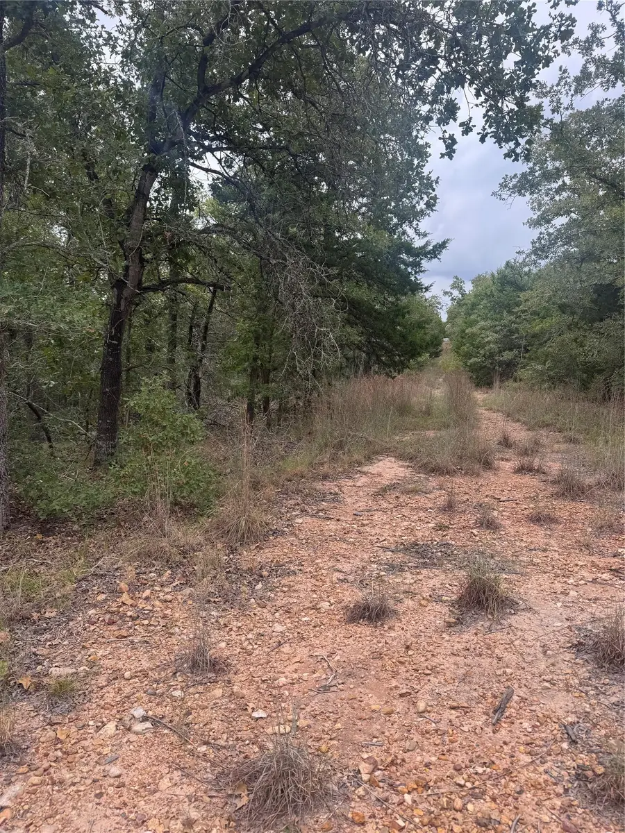 Lot 6 Spruce St, Paige, TX 78659 - Image #3