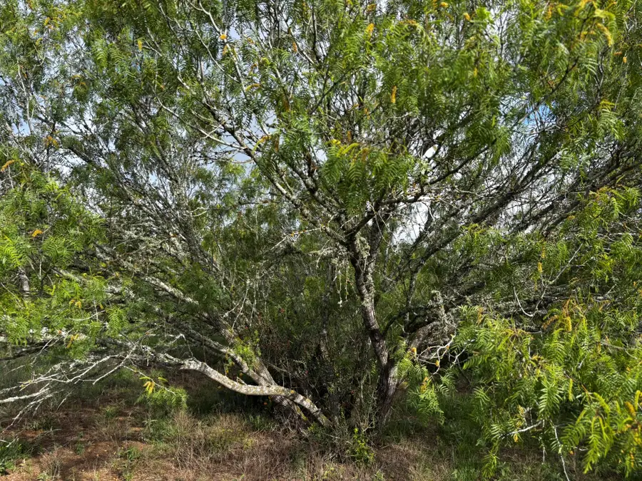 683 County Road 467, Thrall, TX 76578 - #2