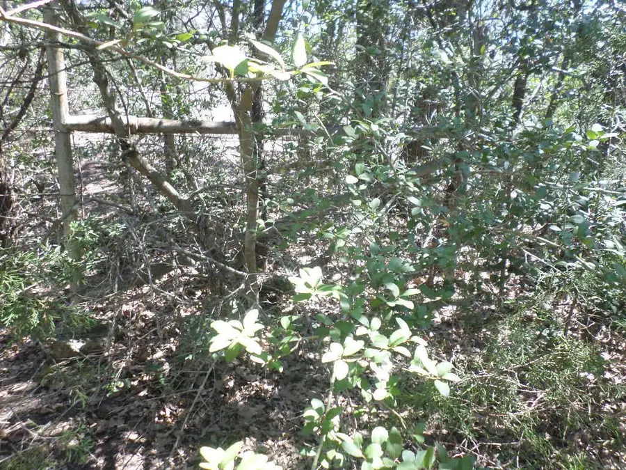 TBD R68370 Walter Hoffman Rd, Cedar Creek, TX 78612 - Image #3