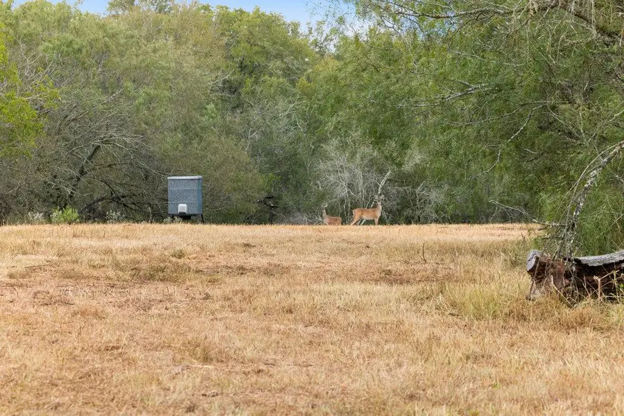 6 Cr 171, Nixon, TX 78140 - #2
