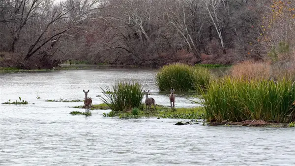 256 Greasy Bnd, Smithville, TX 78957