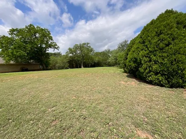 117 Allison Cv, Elgin, TX 78621 - #2