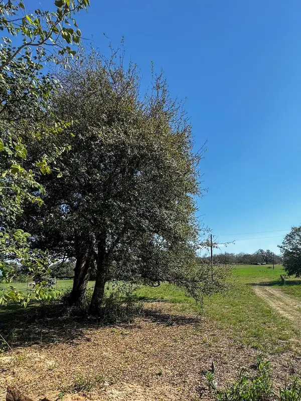 127 Hall Rd, Luling, TX 78648