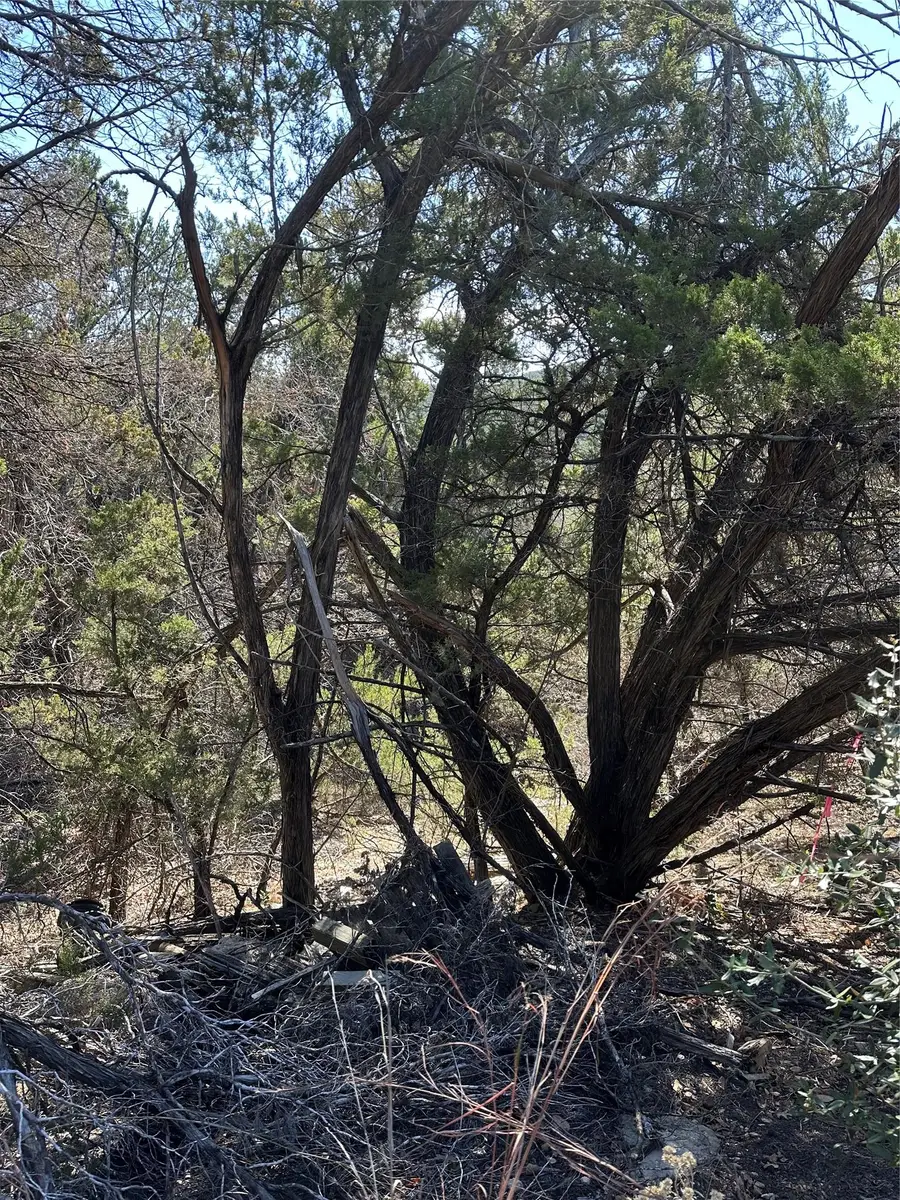 9332 Oxbow Cir, Lago Vista, TX 78645 - Image #2