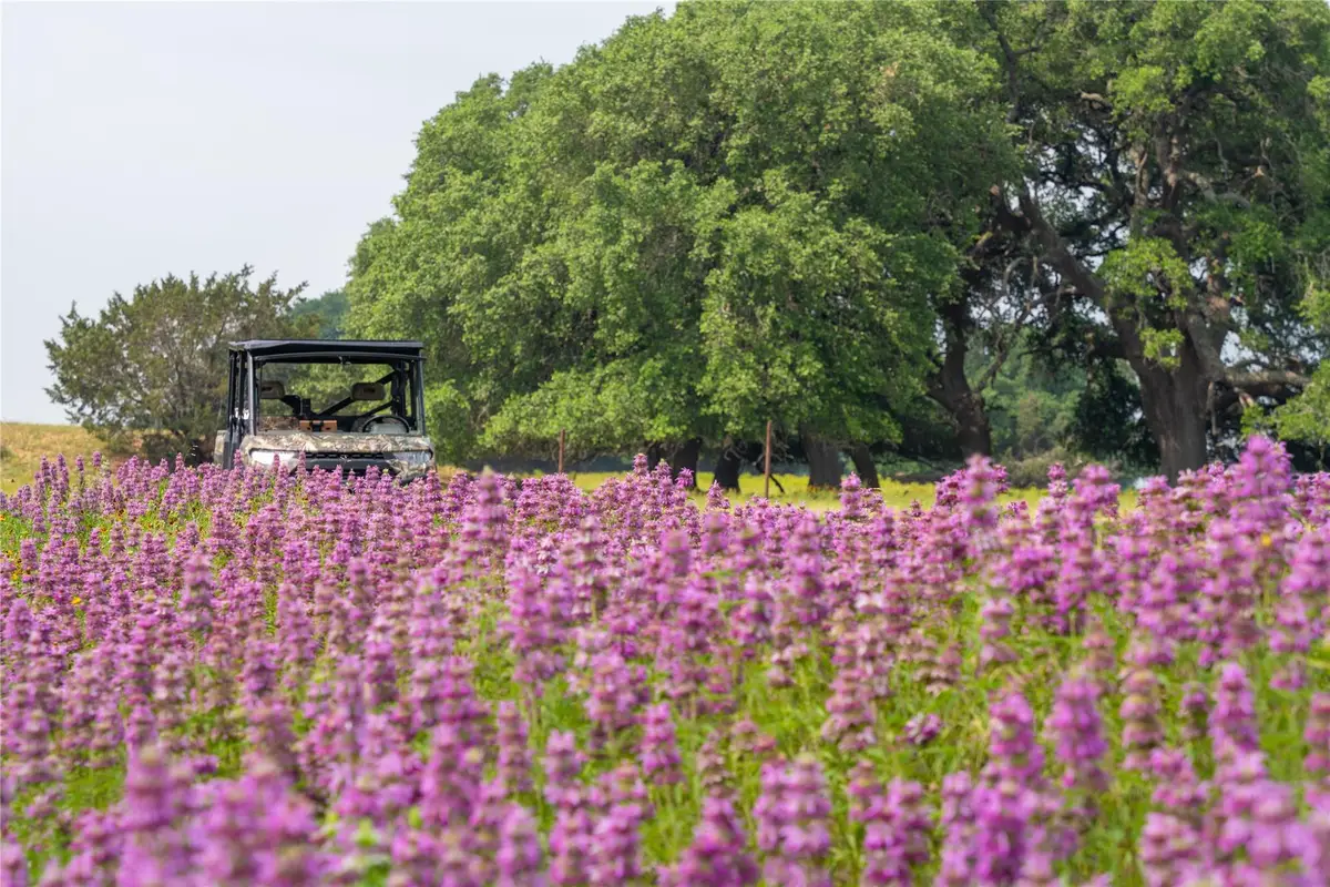 000 Fm 2340, Burnet, TX 78611 - #1