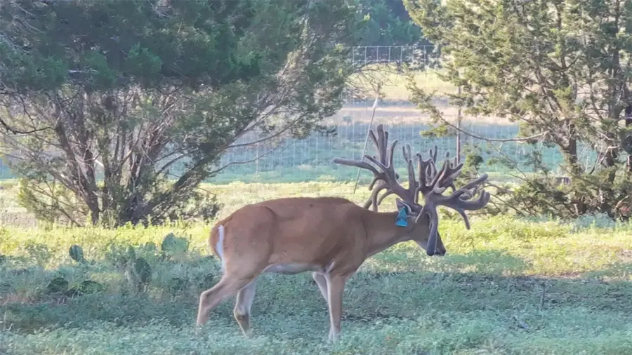 000 Fm 2340, Burnet, TX 78611 - #3