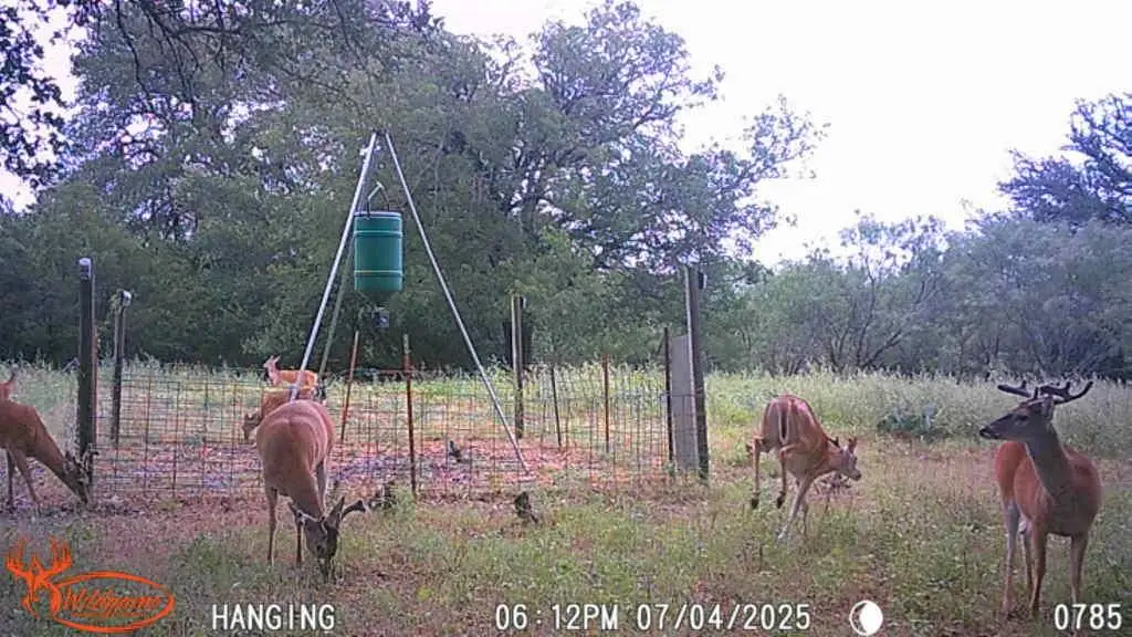 TBD Fm 3023, Goldthwaite, TX 76844 - #1