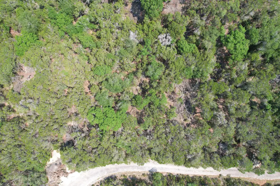 20604 Agarita Dr, Leander, TX 78645 - #2