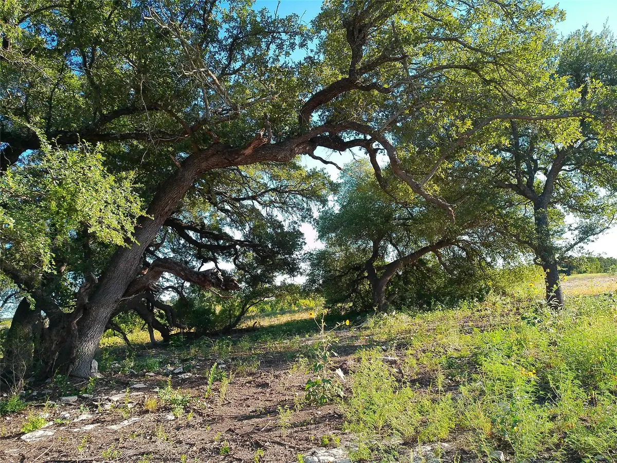 Lot 42 Serenity Dr, Bertram, TX 78605 - #1