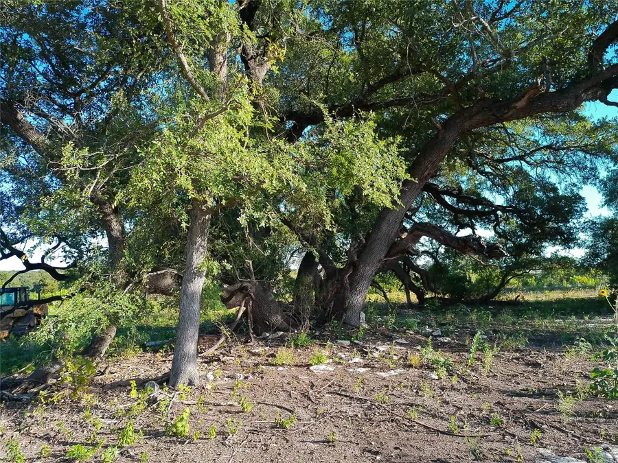 Lot 42 Serenity Dr, Bertram, TX 78605 - #2
