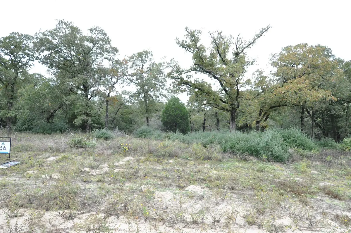 TBD Oakview Ln, Thrall, TX 76578 - Image #1