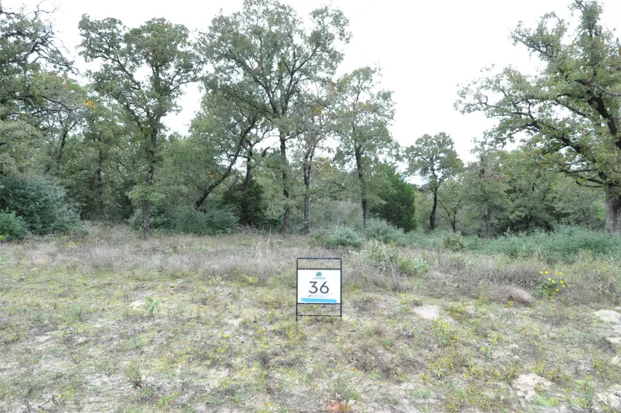 TBD Oakview Ln, Thrall, TX 76578 - Image #3