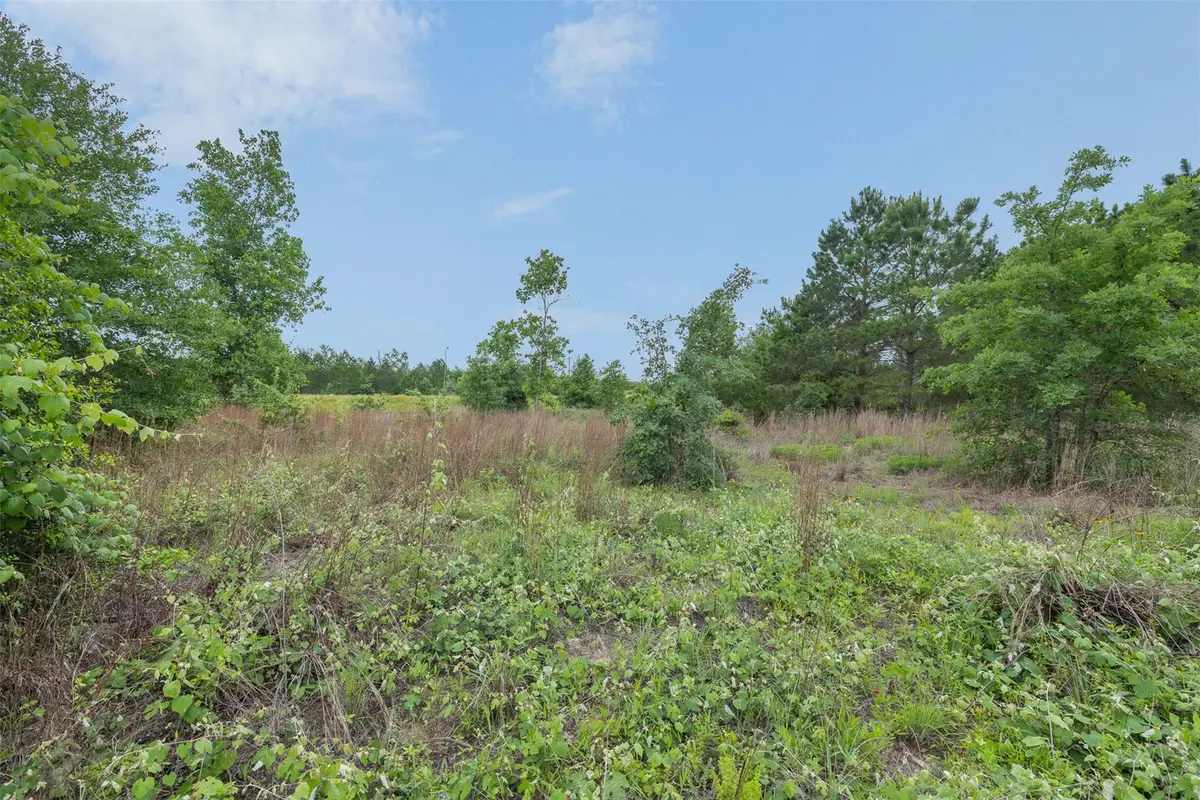 TBD Lot 20c County Rd, Bastrop, TX 78602 - #1