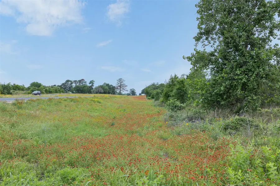 TBD Lot 20c County Rd, Bastrop, TX 78602 - #3