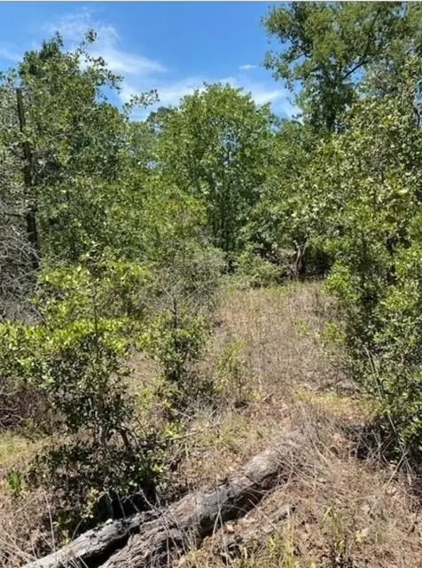 Lot 1123 Koali Dr, Bastrop, TX 78602 - Image #2