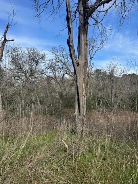 306 Travis Rd, Paige, TX 78659 - Image #3