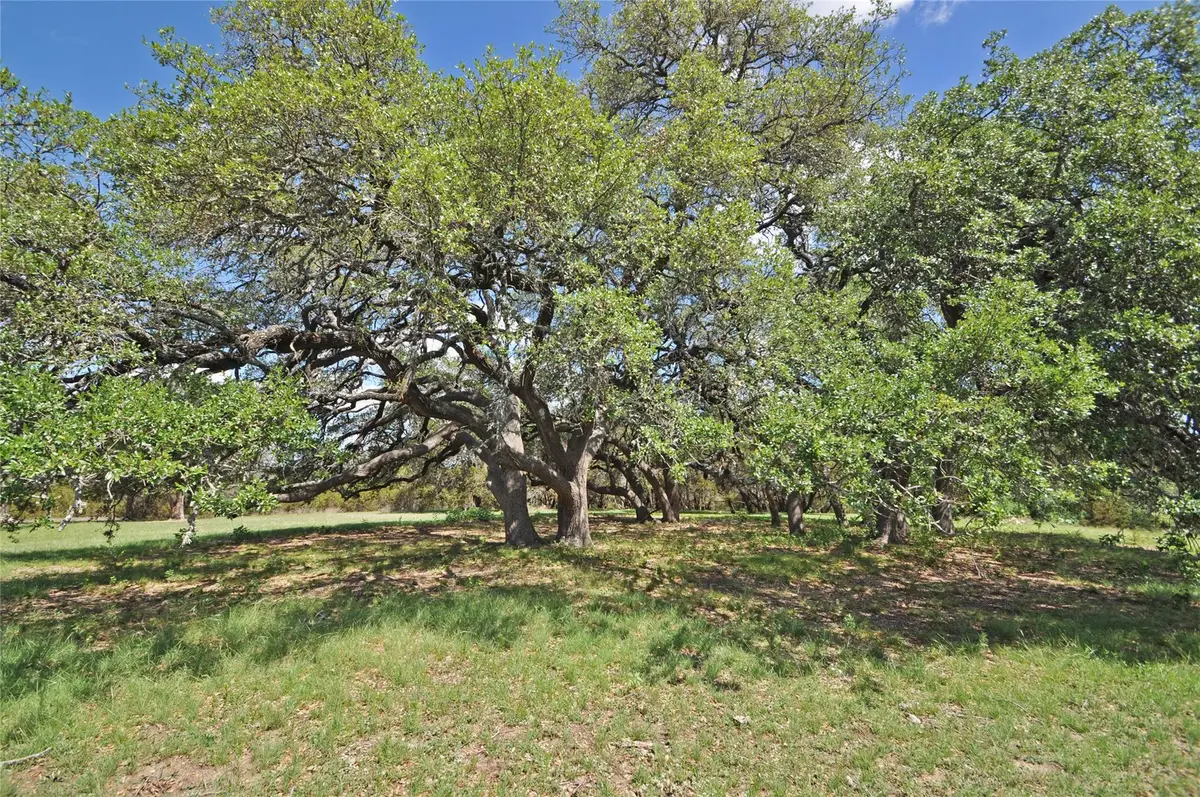000 County Road 287 (lot 1), Liberty Hill, TX 78642 - Image #1