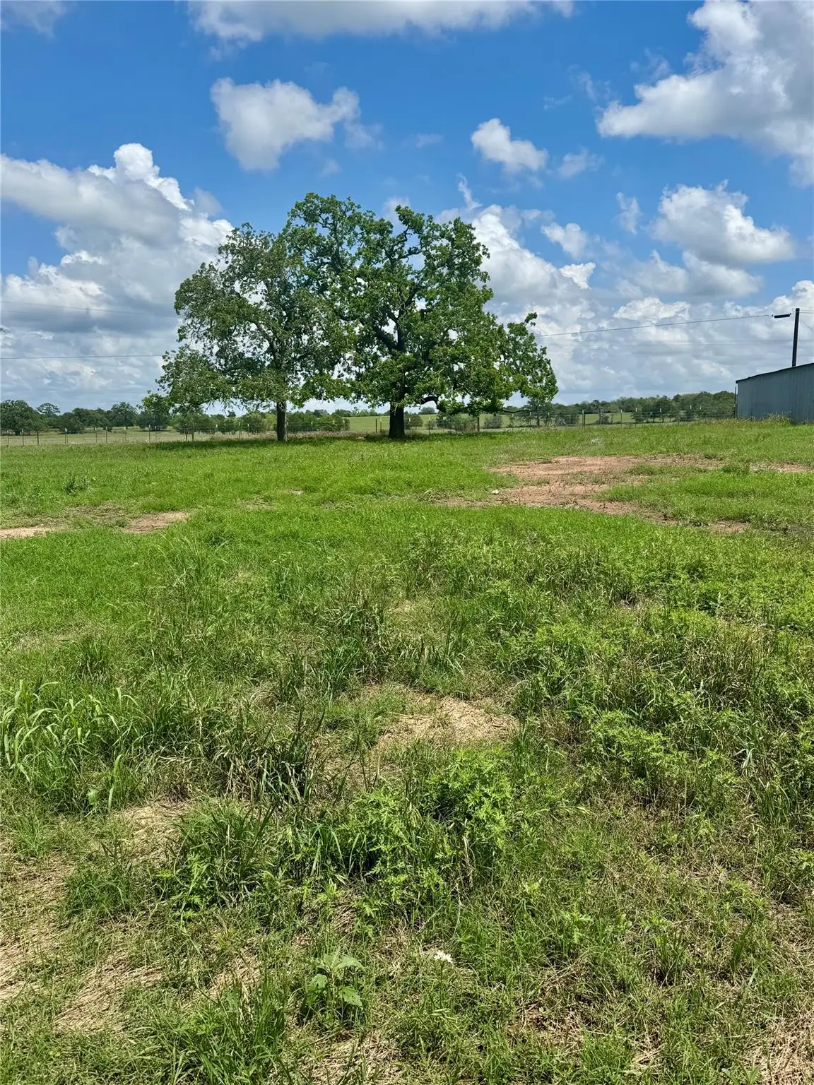 TBD Lot 10 Cardinal Rd, Rosanky, TX 78953 - #1