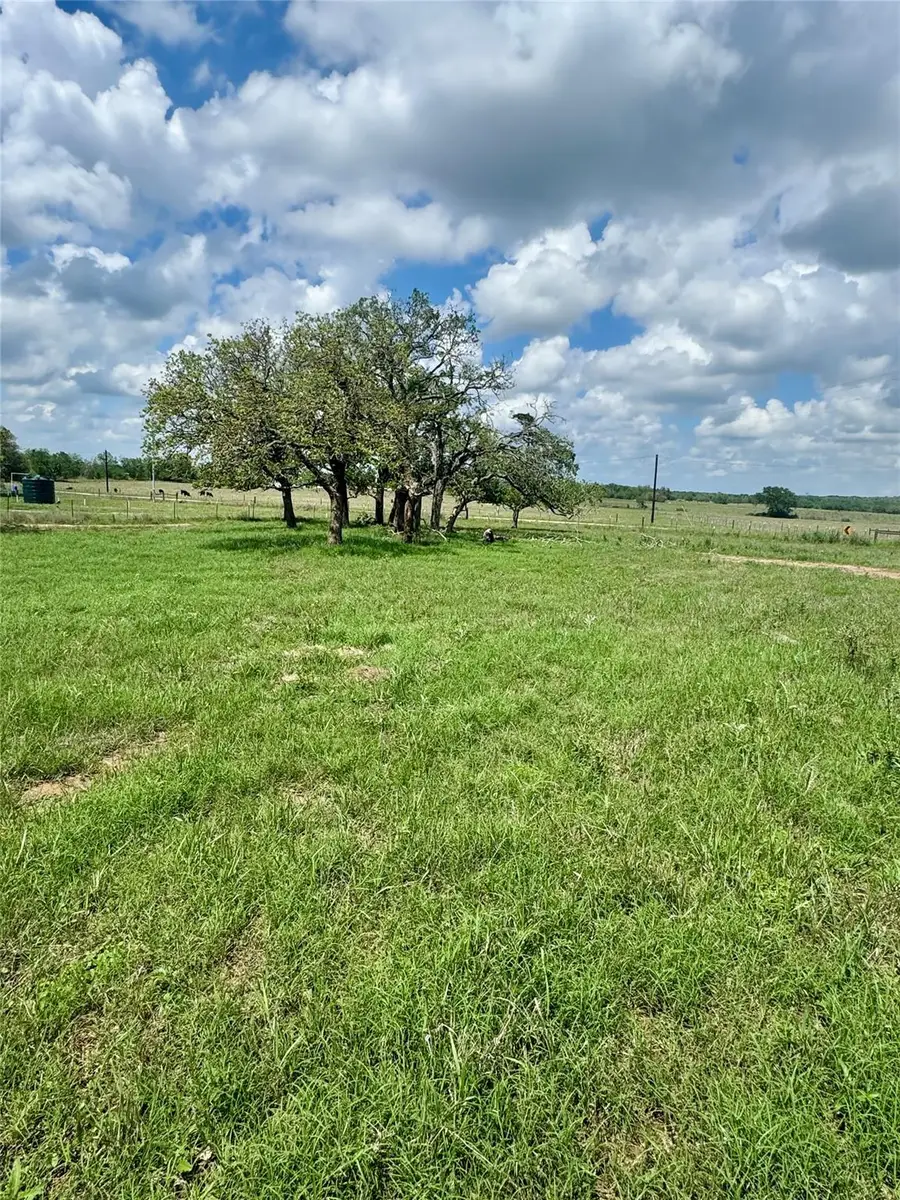 TBD Lot 10 Cardinal Rd, Rosanky, TX 78953 - #3