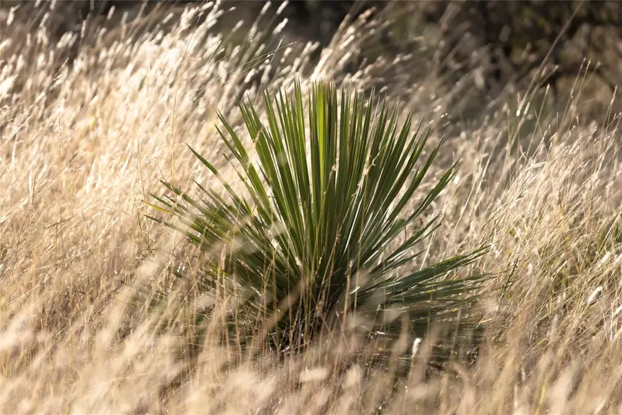 TBD W Rr 962, Round Mountain, TX 78663 - Image #3